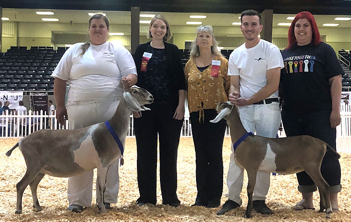 Blissberry Walking In Memphis (right) 2019 ADGA Reserve Junior Champion