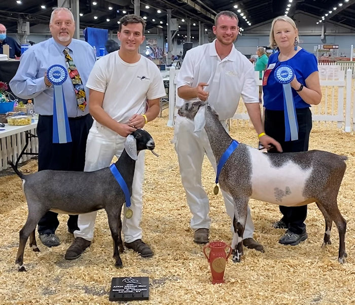Blissberry Party In The USA (above left) 2021 ADGA Reserve Junior Champion